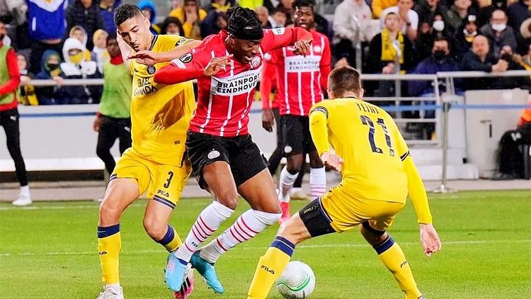 他既能作为 他既能作为